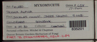 Image Associated With the Occurence